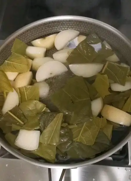 枇杷叶冰糖雪梨和咳嗽的夙愿