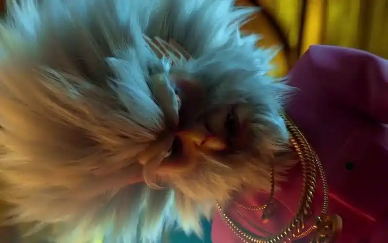 六耳猕猴登场,《新神榜:哪吒重生》终极预告