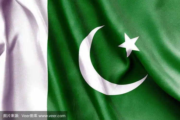巴基斯坦国旗