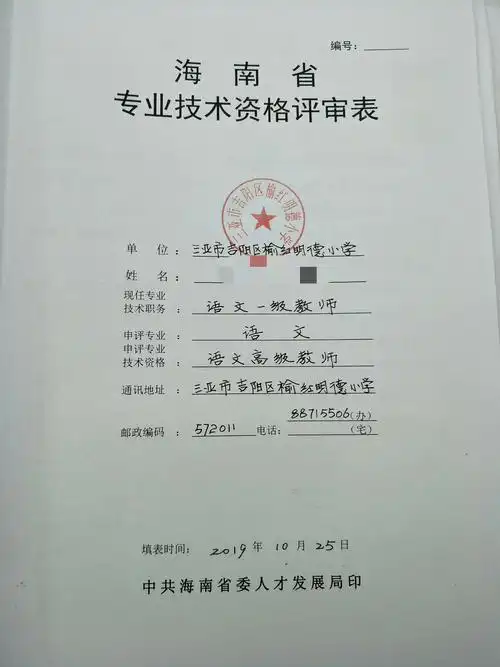 2019教师职称评审表样板