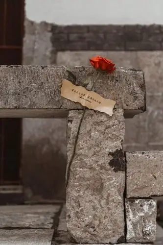 据了解,"应急玫瑰"是起源于法国巴黎的一项街头艺术活动,通过在街头