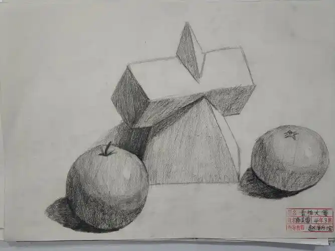 四年级期末素描大赛作品赏析