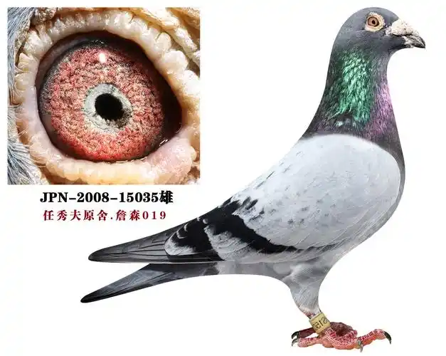 任秀夫原舍詹森019