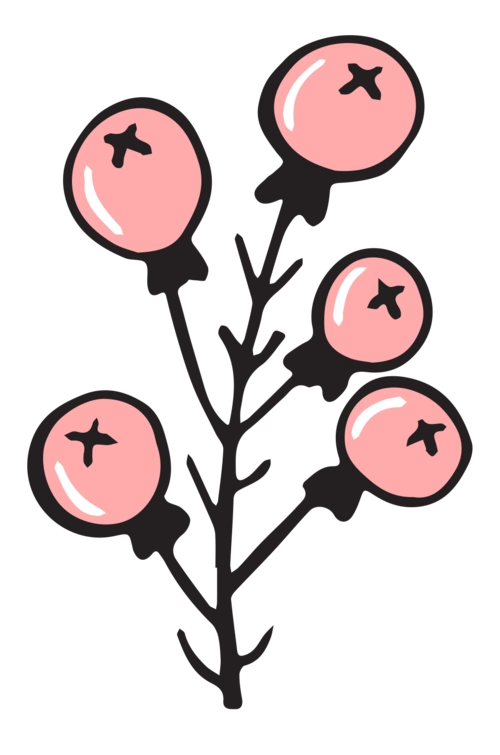 手绘粉色果实冬季免扣素材模板免费下载_png格式_编号28328090-千图网