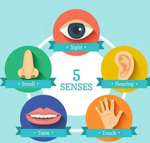 保护五官的图片卡通,五官卡通-图片大观-奇异网