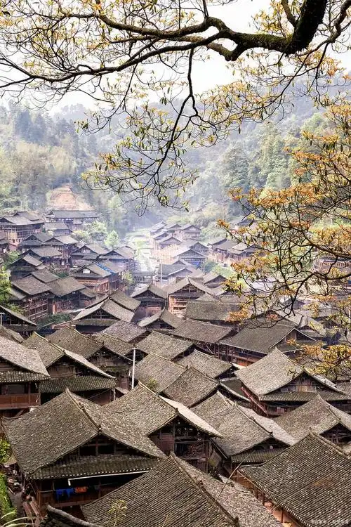 位于广东省清远市连南瑶族自治县的千年瑶寨,是瑶族文化的重要代表之