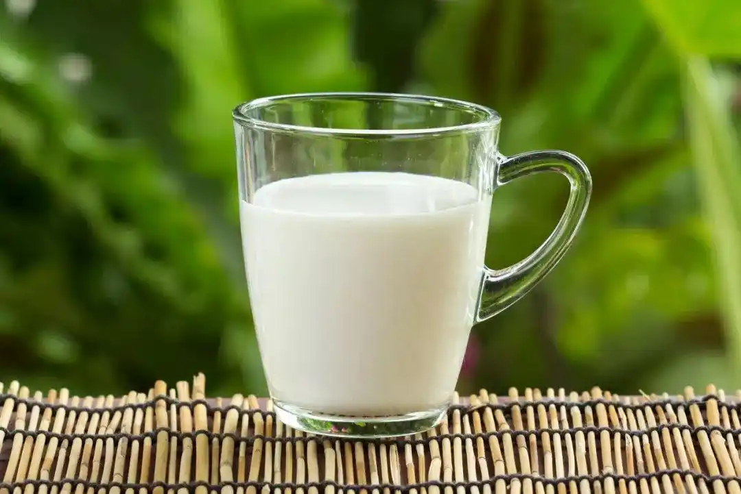 牛奶不是人人都能喝关于牛奶的这个真相你一定要知道