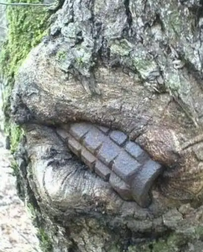 吃人不吐骨头传说中恐怖的食人树真的存在吗