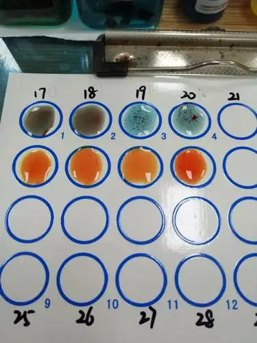 现场采用的是国内通用的纸板法进行献血前的abo血型正定型初筛检测