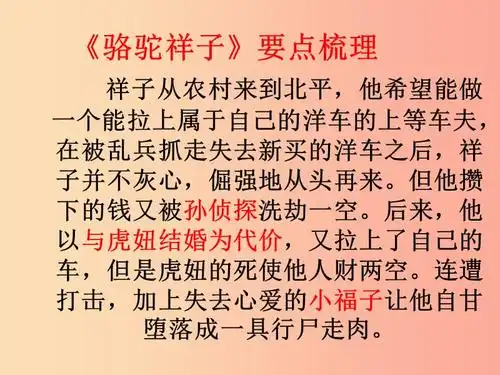 广东省中考语文骆驼祥子复习课件ppt