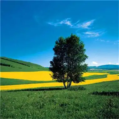 2023男人走运发财的微信头像(优选21张)-非主流之家