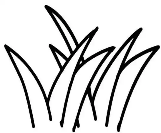 儿童卡通简笔画小草