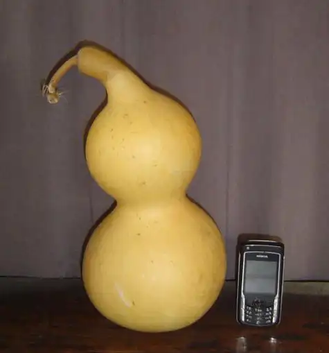 我家有俩葫芦,都是青色的, 怎么不葫芦弄成下边图片里的颜色啊,只要