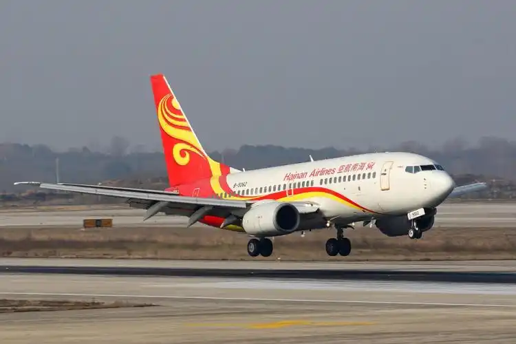 海南航空 股份有限公司 运营波音机队b737 b767(已退役)b787-8 b787-9