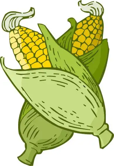 图品汇 设计元素 卡通手绘 手绘两根玉米素材上图作品的源文件由图品