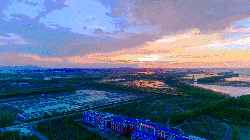 【图片】黑龙江建三江旅游局:天地之美 锦绣三江【建三江新闻吧】