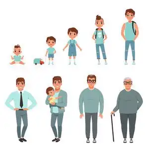 人的生命周期, 成长的阶段从婴孩到人向量例证照片