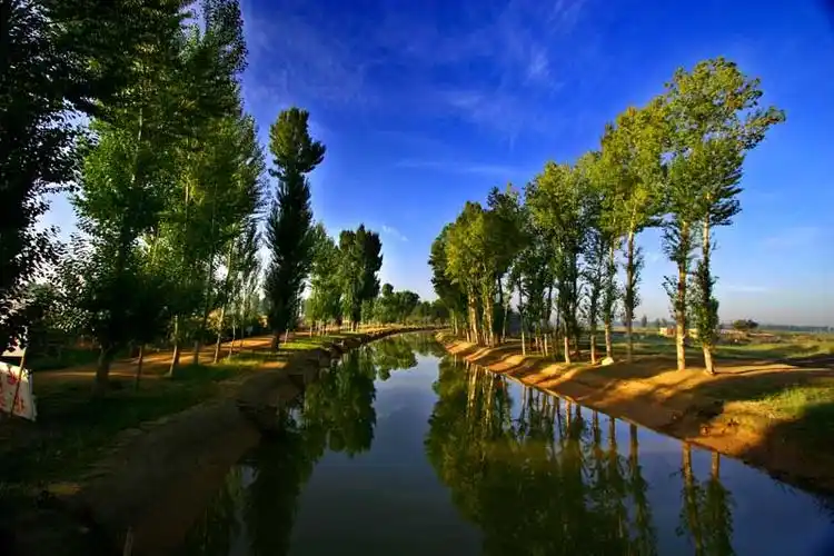 《小白杨》:无私奉献守边关