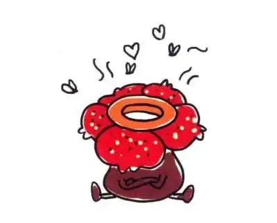 大王花简笔画图片 大王花怎么画