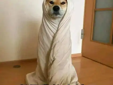 泰国恐怖片《灵媒》霸榜热搜?来看看战斗民族的恐怖片观影清单吧