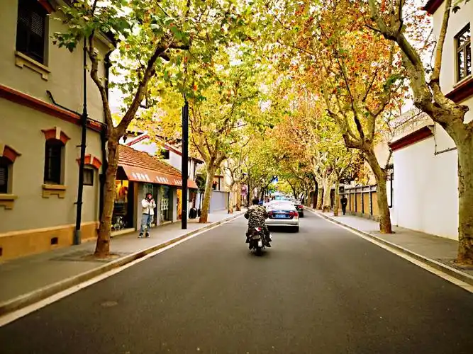 11.26逛上海武康路,余庆路手机拍摄