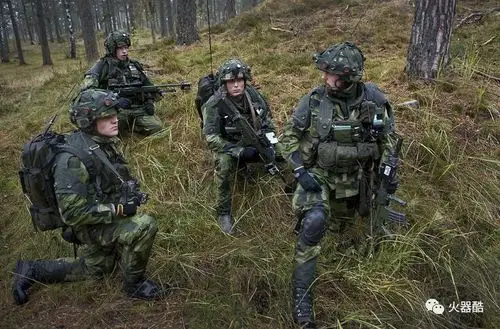 【瑞典军队图集】我曾经向往的那一片迷人的几何迷彩