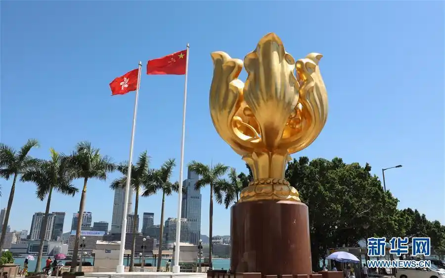 在香港金紫荆广场上,五星红旗和紫荆花旗迎风飘扬(8月5日摄).