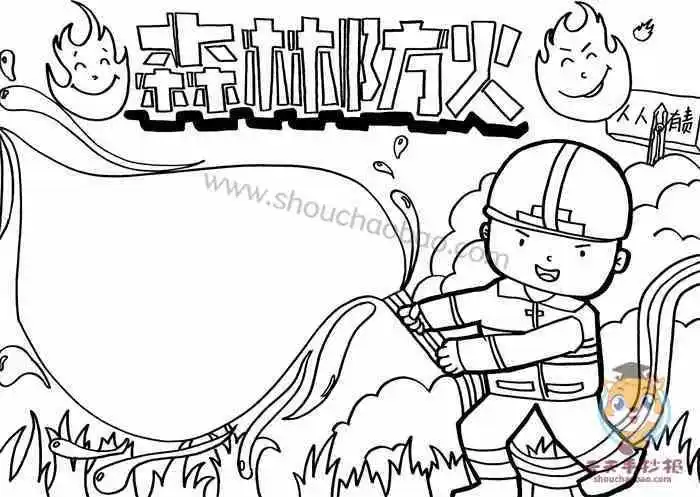 小学护林防火手抄报 森林防火手抄报