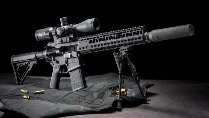 成功打开了世界最大枪械持有国的市场,也让西格绍尔在大洋彼岸再次