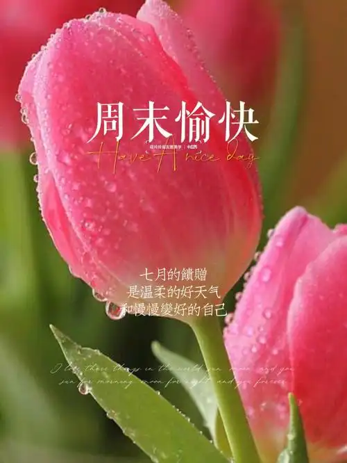 周末愉快早安日签海报周末小众高级文案