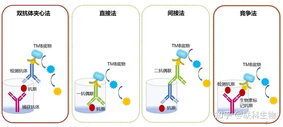 灵敏度高(pg/ml);特异性强;重复性好;操作简单;检测仪器易获得(酶标仪