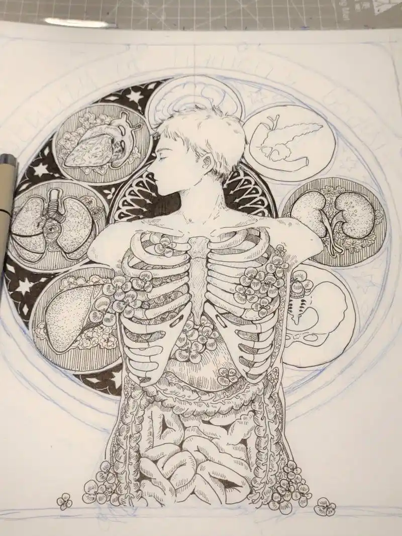 画了一半的解剖绘图比赛 嗯嗯嗯啊啊啊啊啊啊不想给学校交啊啊啊啊啊