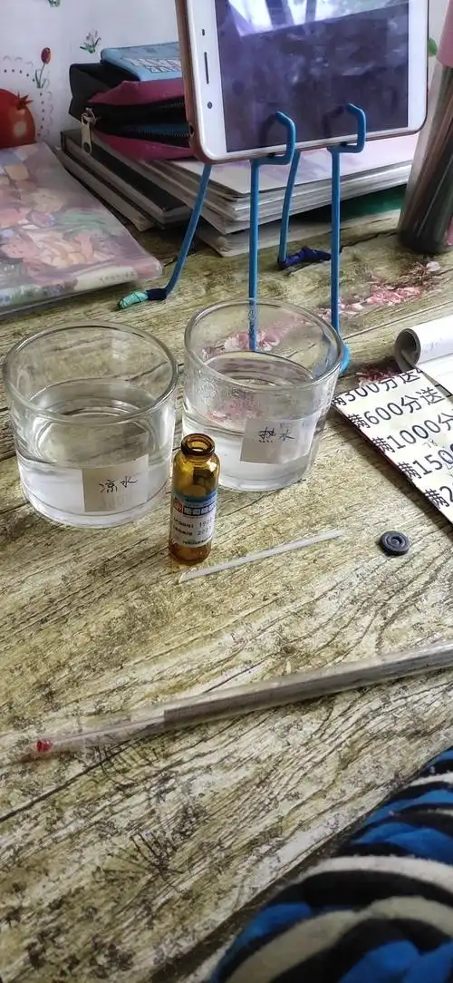 线下探究实验——肥城市潮泉镇中心小学三年级居家科学小实验