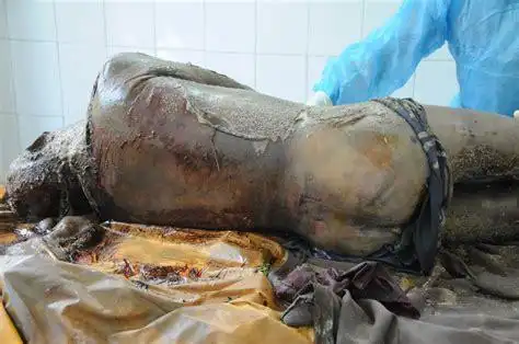 上吊死亡全过程图片2022已更新今日资讯