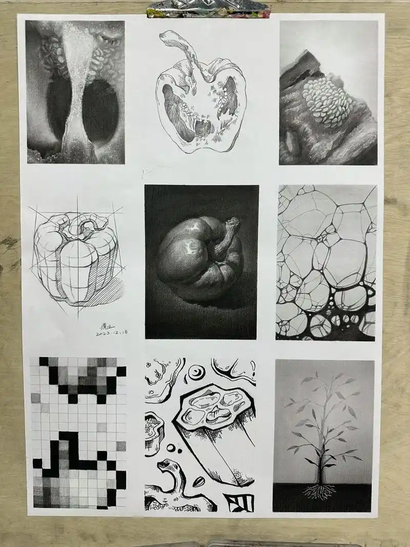 青椒自然形态解析.#素描静物 #设计素描#广美 - 抖音