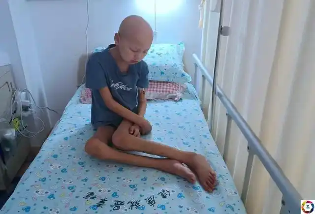 男童出院医生建议妈妈再生一胎保留脐带血未料一语成谶