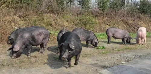 晒哈太阳,补下钙!