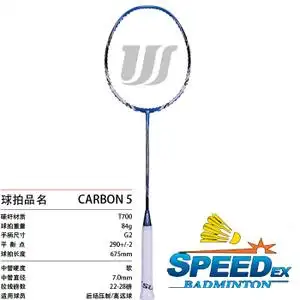 wellsun carbon-5  专业羽毛球拍