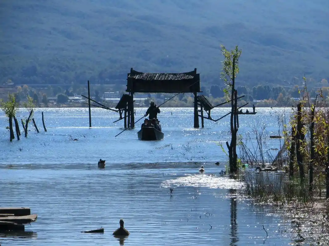 11月的拉市海,仙境一般～#图文伙伴计划#云南美景 @dou - 抖音