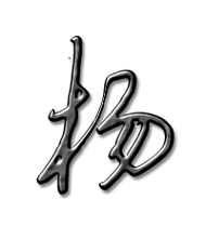 杨艺术字体杨头像杨笔顺杨同音同调字查询