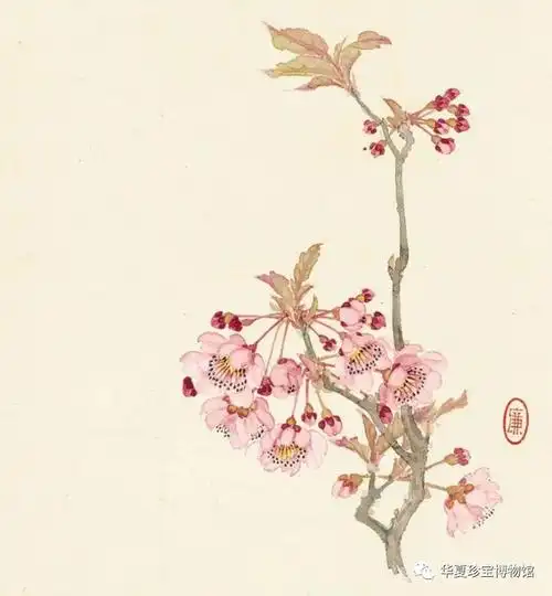 群芳竞妍册-垂丝海棠