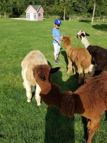 大连市铭湖国际观光牧场