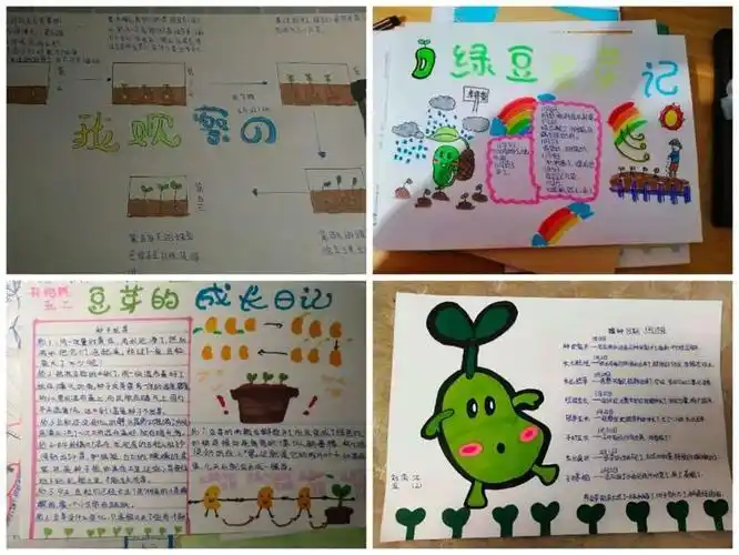 记录了种植大葱的整个过程并画了手抄报7年5班第三期生物手抄报被子