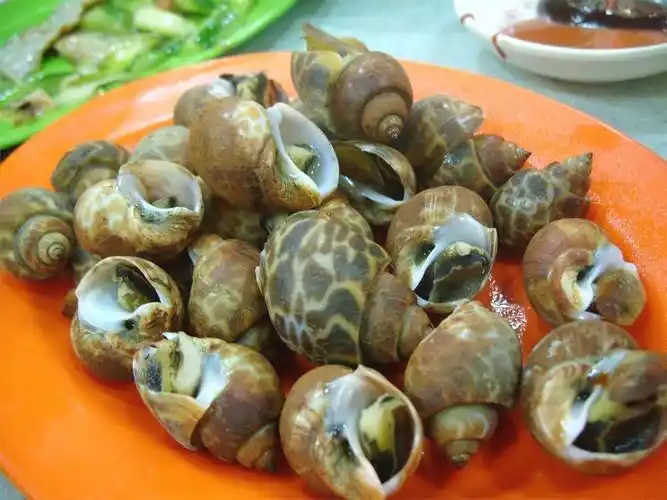 灼东风螺细细粒, 都好爽口,配上甜酱享用更是一流   灼东风螺细细粒