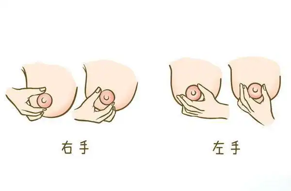 奶水不足?教你手动挤奶的方法,拿走不谢!