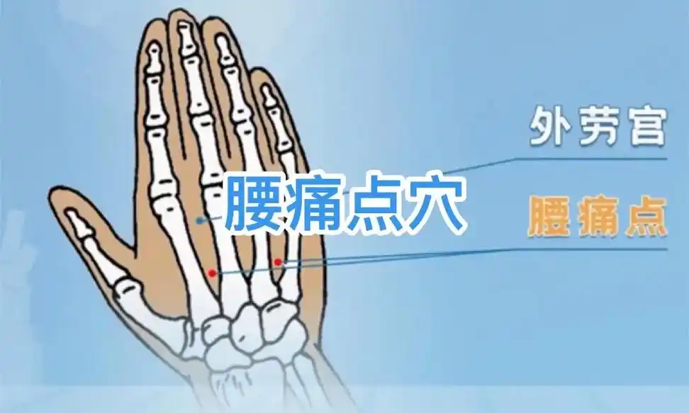 腰痛点穴.部位:位于手背无名指与中指,中指与食指的指骨之间的 - 抖音