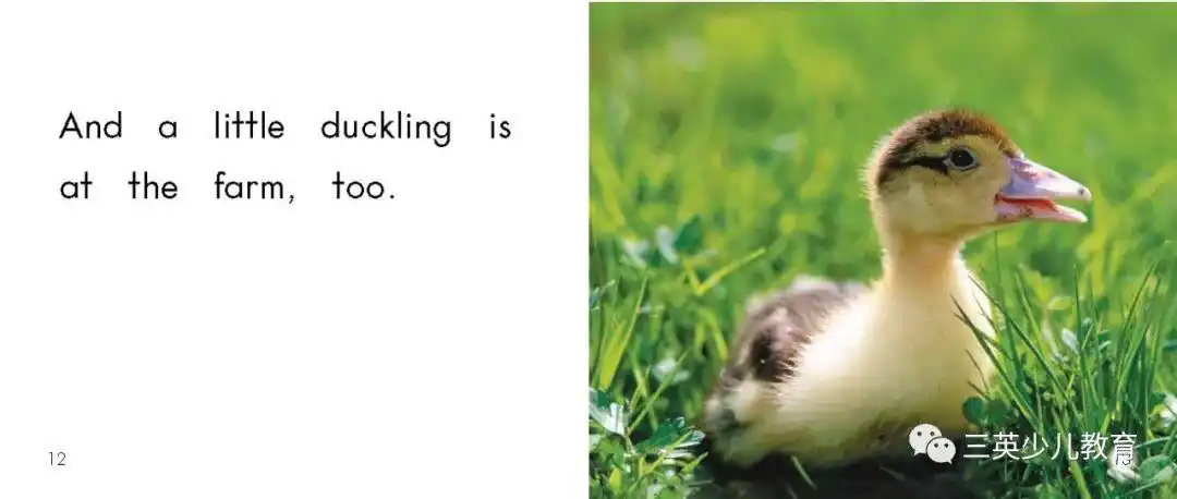 三英教育分级阅读海尼曼绘本分享海尼曼gkbook3333atthefarm