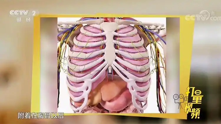 别忽视!剑突下疼痛,吞咽有以下感觉,可能是食管癌丨职场健康课