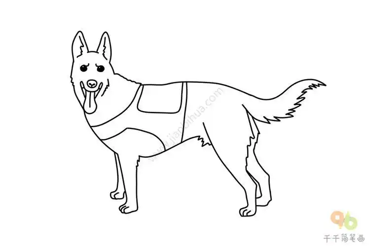 昆明狗简笔画