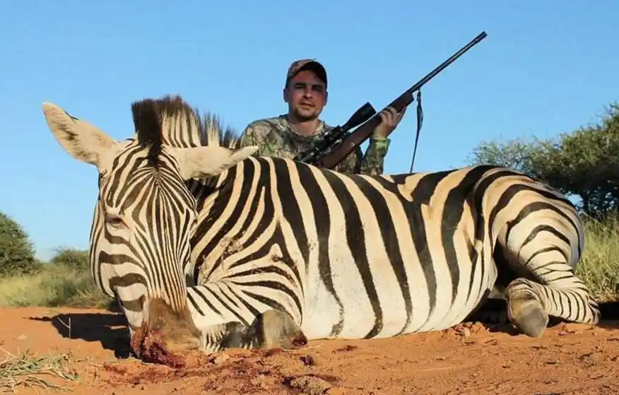 猎杀野生动物场面极其残忍,作为食肉的我看不下去了!